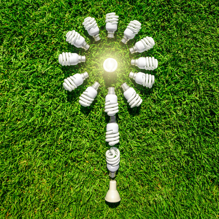 multiple light bulbs in green grass in the shape of a light bulb
