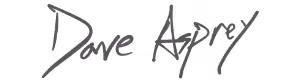 Gray Dave Asprey Logo on a Transparent Background