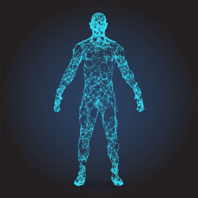 Blue Wire Frame Male Body in Virtual Reality