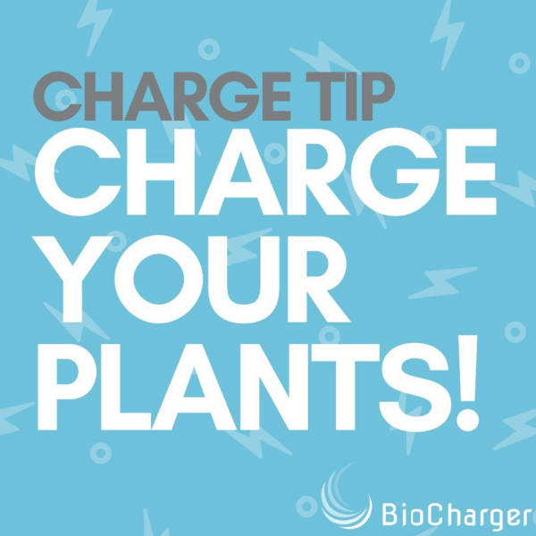 Charge Tip Charge Your Plants! BioCharger