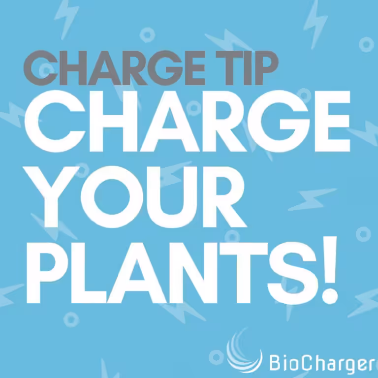 Charge Tip Charge your Plants Text on a Light Blue Background with Bolt Icons