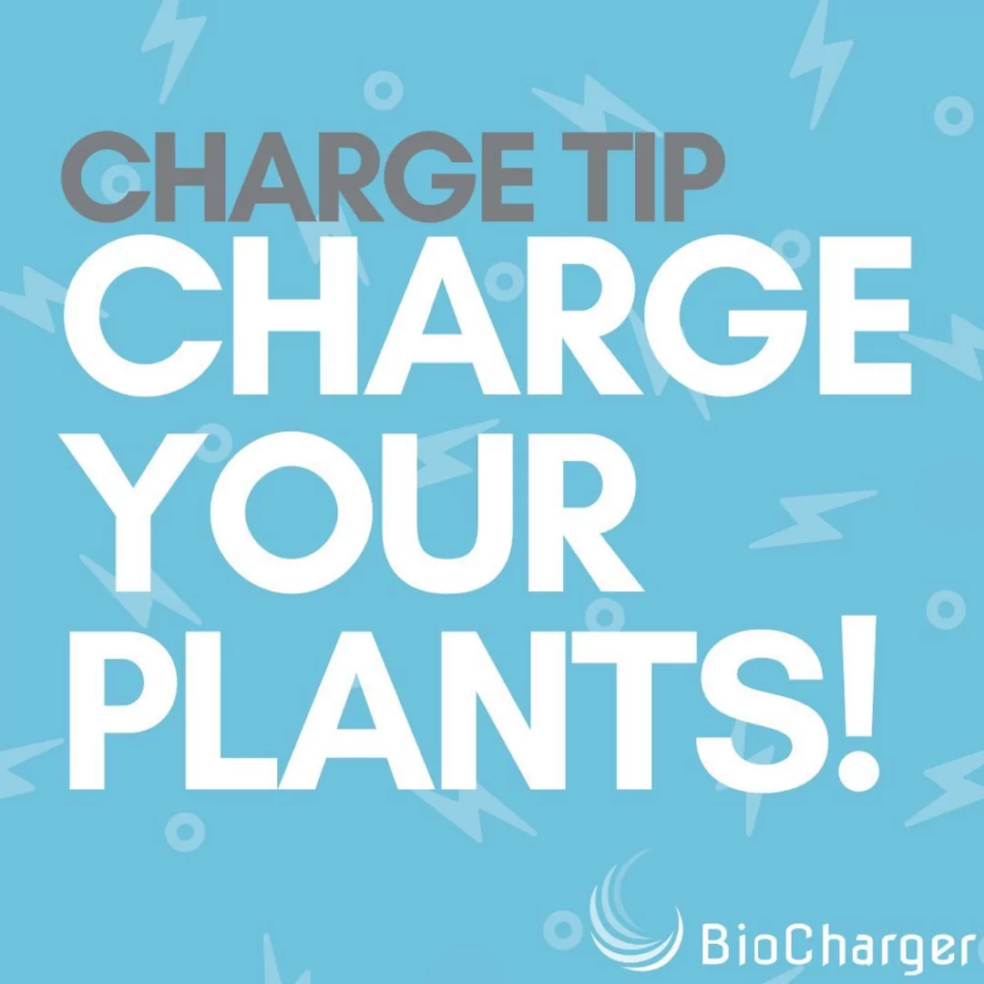 Charge Tip Charge your Plants Text on a Light Blue Background with Bolt Icons