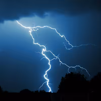 Multiple Lightning Strokes on a Night Sky Above the Trees