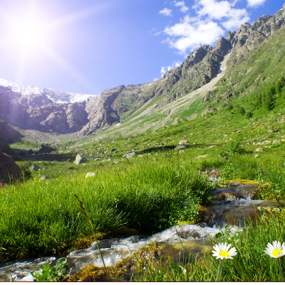Landscape of Mountains and a Stream Surrounded by Flowers Underneath the Sunny Sky