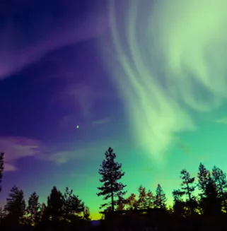 Northern Lights on the Sky Above the Forest