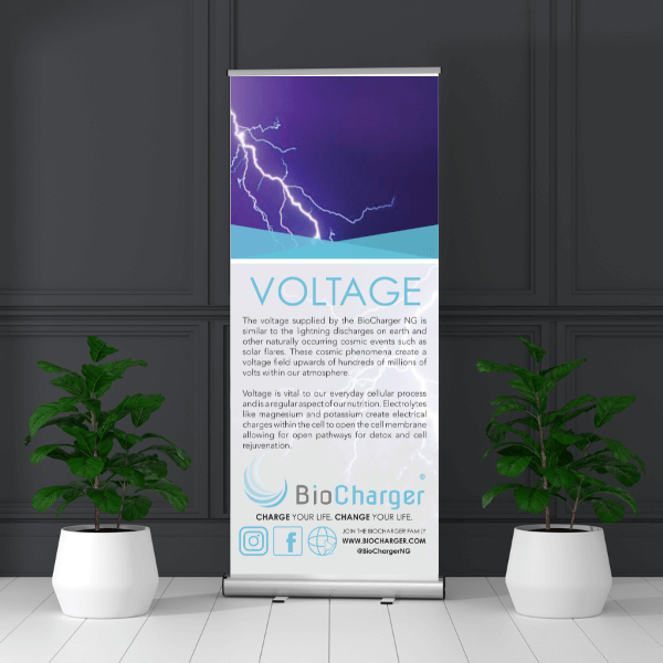 BioCharger Voltage Banner In Front of Black Modern Wall Between Two Green Plants
