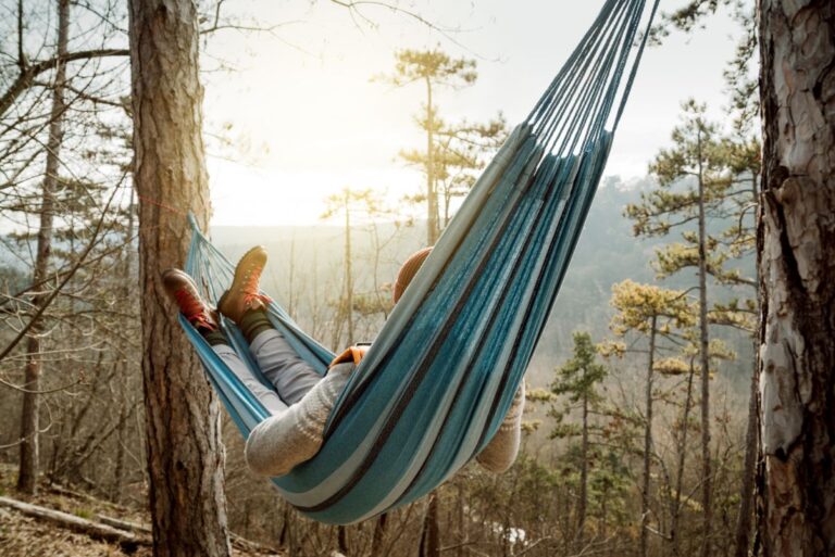 An Entrepreneur Laying Comfortably in a Hanging Bed Between Two Trees In a Forest