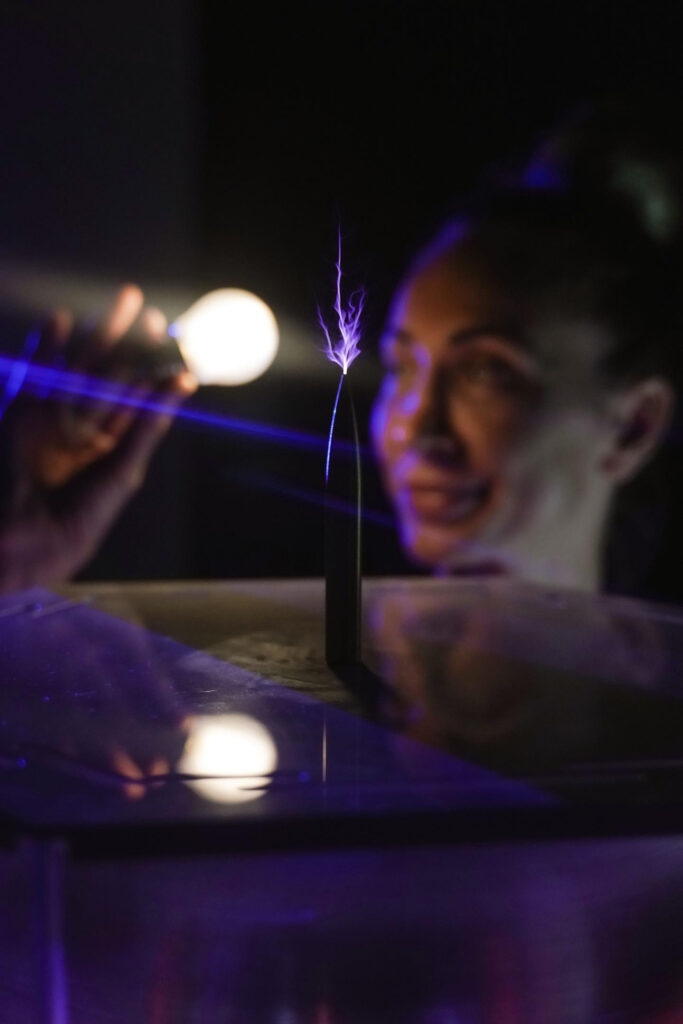 The Ultimate PEMF Therapy Guide BioCharger NG