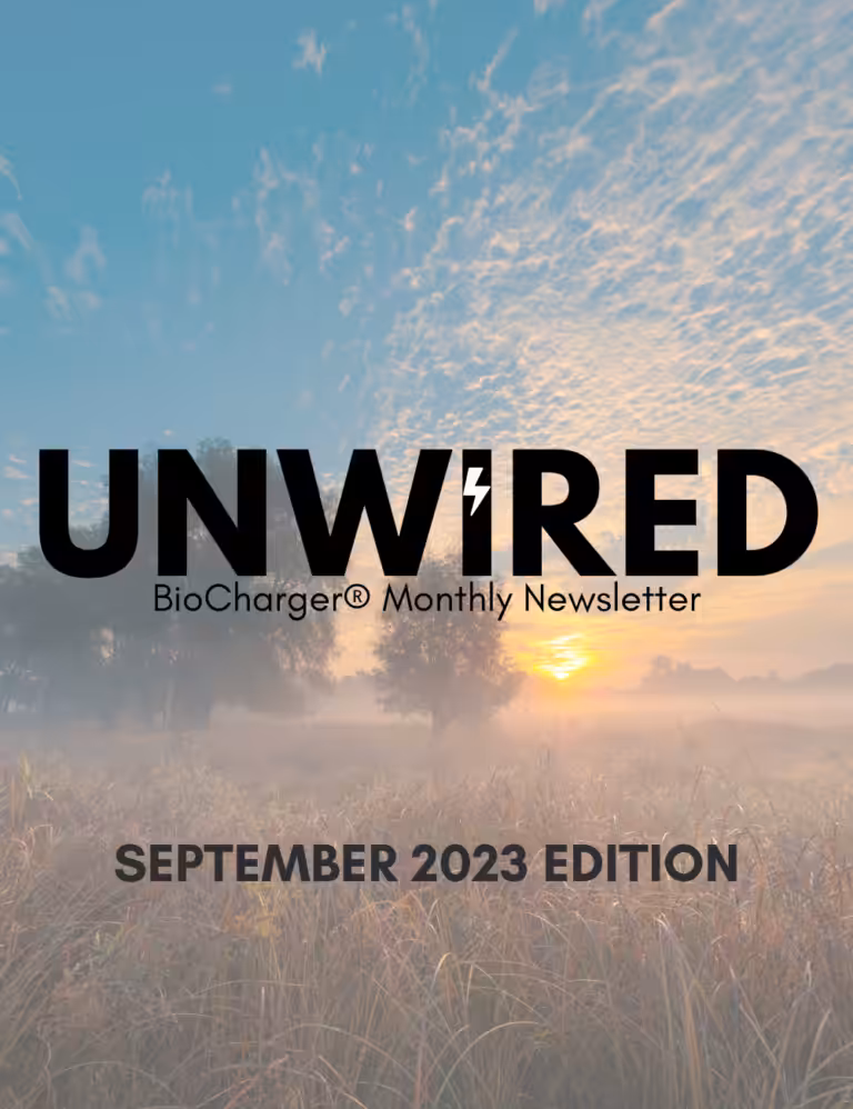 BioCharger's UNWIRED Monthly Newsletter Pamflet With a Beautiful Field and Sky in The Background