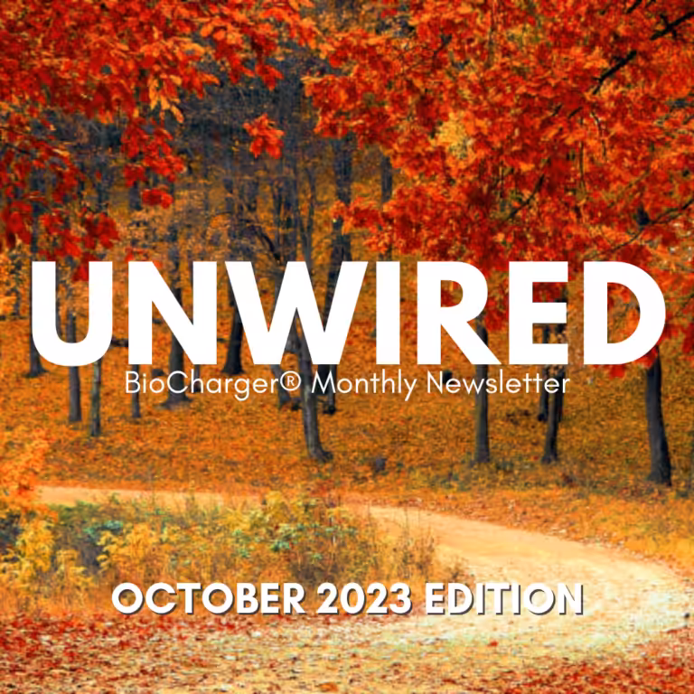 Unwired BioCharger Monthly Newsletter October 2023 Edition in White Letters With Autumn Scenery as Background