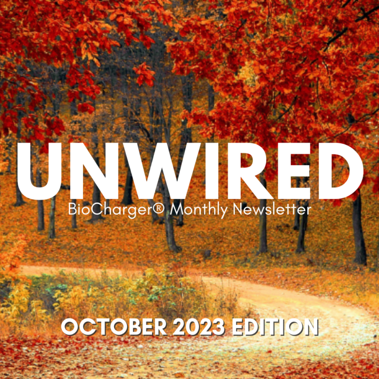 Unwired BioCharger Monthly Newsletter October 2023 Edition in White Letters With Autumn Scenery as Background