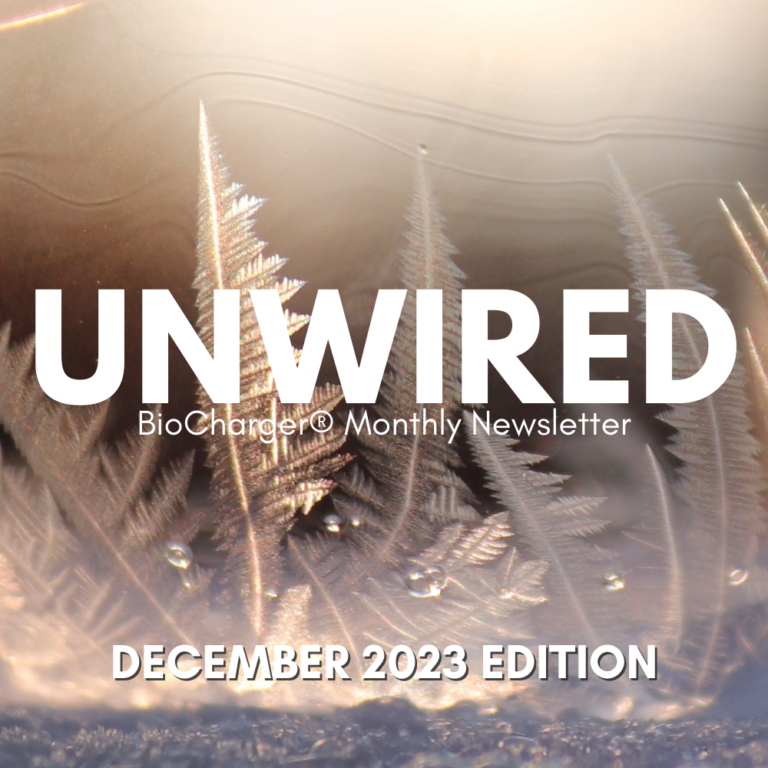 Thumbnail preview Crystal winter wonders: explore the intricate beauty of frost patterns in the december 2023 edition of the unwired biocharger® monthly newsletter.