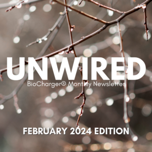 Unwired BioCharger Monthly Newsletter February 2024 Edition in White Letters With tree branches with ice droplets
