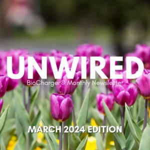 Bold white font that says UnWired with purple tulips in the background